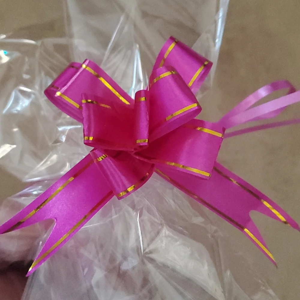 Clear Gift/Storage Bag with magenta Ribbon nwot